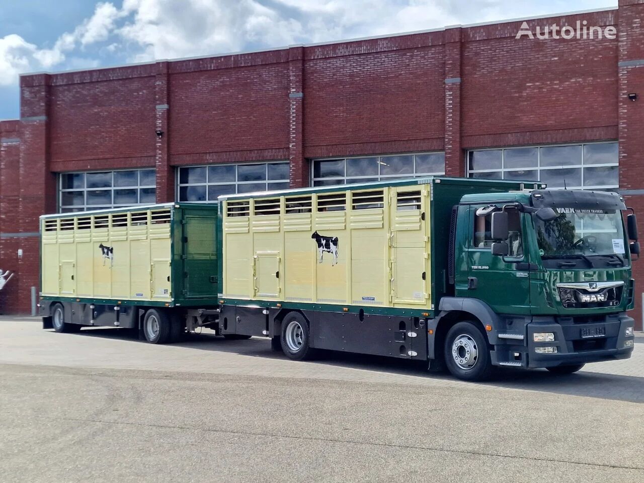 ciężarówka do przewozu bydła MAN TGM 15.290 4x2 - Menke livestock 1 deck + 2019 Menke trailer - F