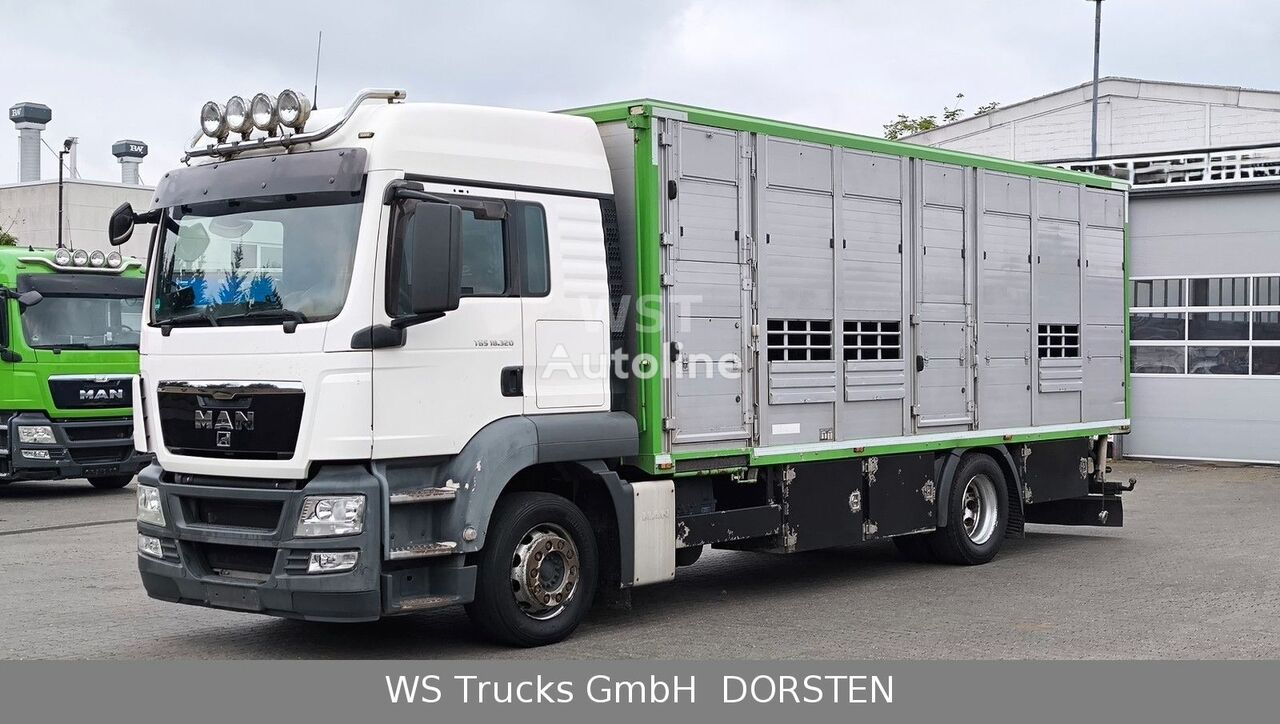 MAN TGS 18.320 livestock truck