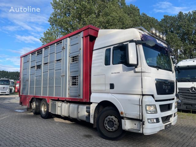 MAN TGX 26.400 6x2-2 LL 3 Stück Finkl  Hubdach livestock truck