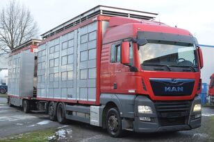 MAN TGX 26.420 Euro 6/ AT 18/73 Viehtransporter LKW + Viehanhänger