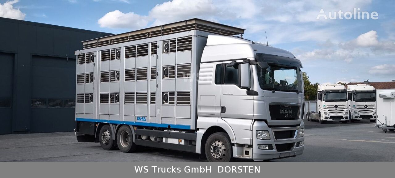 MAN TGX 26.440 FG livestock truck