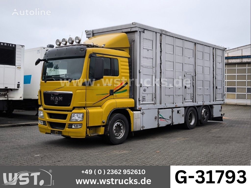 скотовоз MAN TGX 26.440 XL Menke   3+4 Stock Vollalu