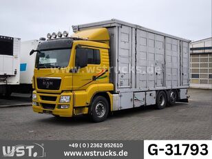 MAN TGX 26.440 XL Menke   3+4 Stock Vollalu lopu vedējs