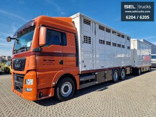 φορτηγό όχημα μεταφοράς ζώων MAN TGX 26.480 6x2-4 LL Durchladezug / Hubdach / 3 Stock