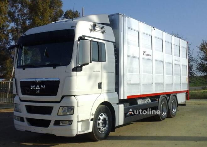 Camion bétaillère MAN TGX 28 480 - Autoline