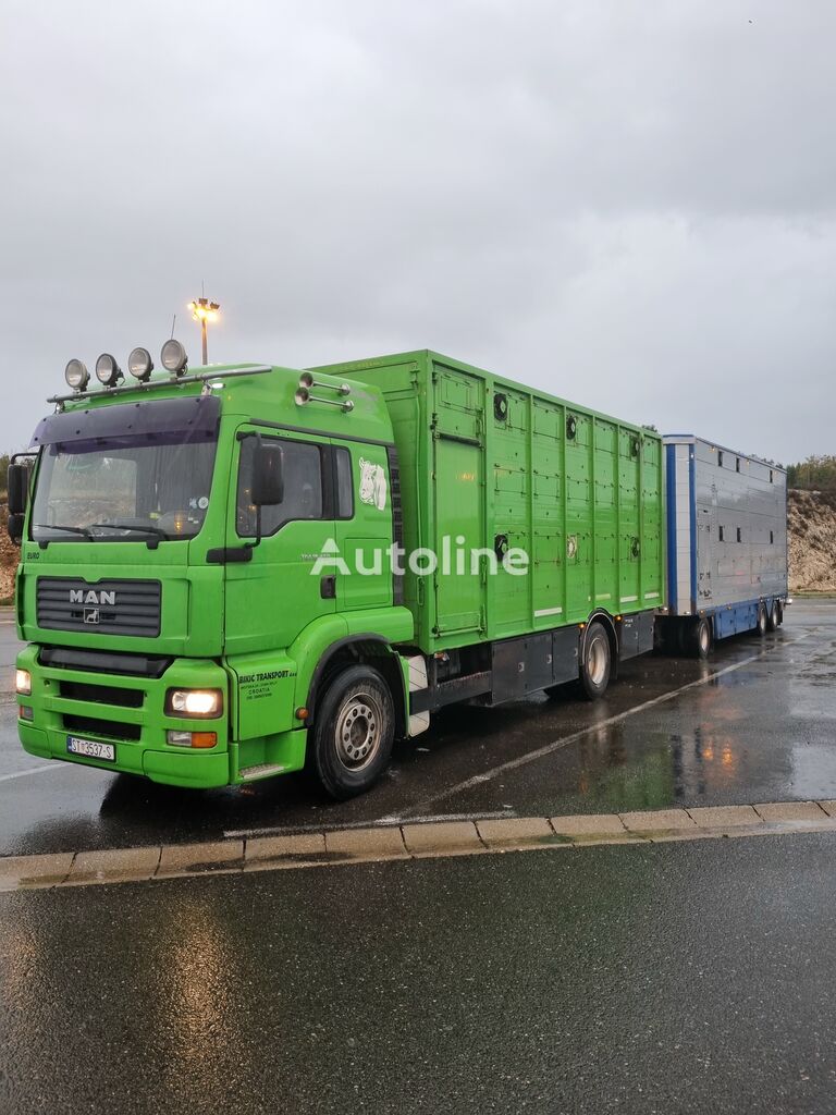 camion bétaillère MAN-VW Tga 18.460 2004g + remorque bétaillère