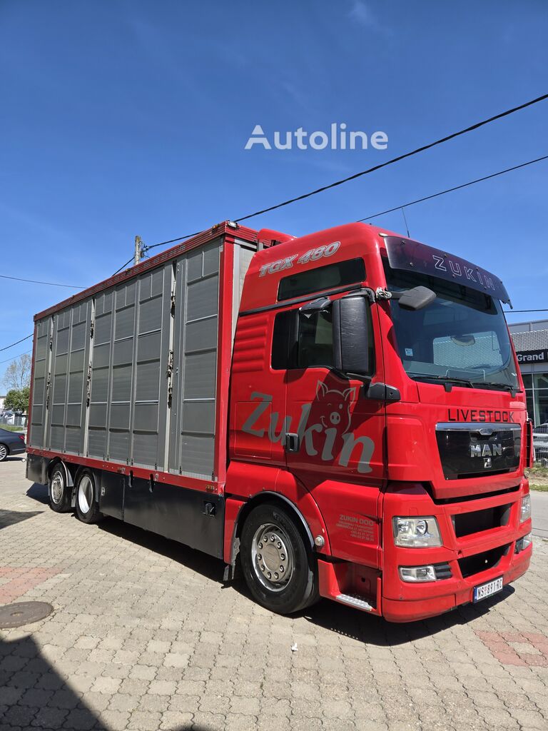 MAN tgx 26.480 menke 3 stock Viehtransporter LKW - Autoline