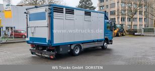 Mercedes-Benz Atego 1024 4x2 Menke-Janzen Viehtransporter LKW kaufen - Bild 4 | Autoline LI Mercedes-Benz Atego 1024 4x2 Menke-Janzen Viehtransporter LKW | Bild 4 - Autoline
