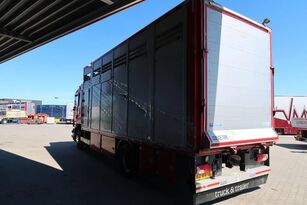 Αγορά φορτηγό όχημα μεταφοράς ζώων Scania G380 - Schade - Damage - Schäden μετά από ατύχημα - Απεικόνιση 9 | Autoline GR Φορτηγό όχημα μεταφοράς ζώων Scania G380 - Schade - Damage - Schäden μετά απο τρακάρισμα | Απεικόνιση 9 - Autoline