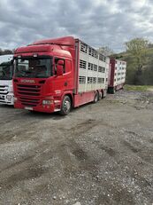 camion transport animale Scania G420 + remorcă transport animale