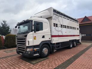 Scania G440 livestock truck