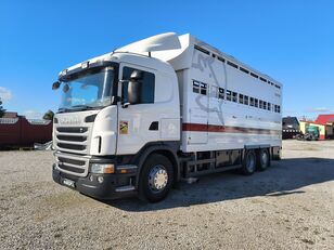 牲畜运输车 Scania G440/Euro5/2 razy bydło/ Retardrer