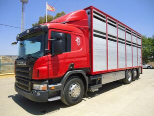 Scania P 380 livestock truck