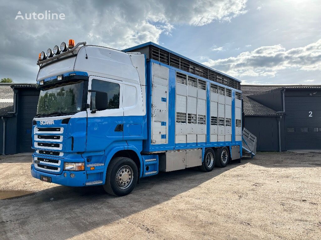 شاحنة نقل المواشي Scania R 420 6x2 2 decks livestock transport veevervoer