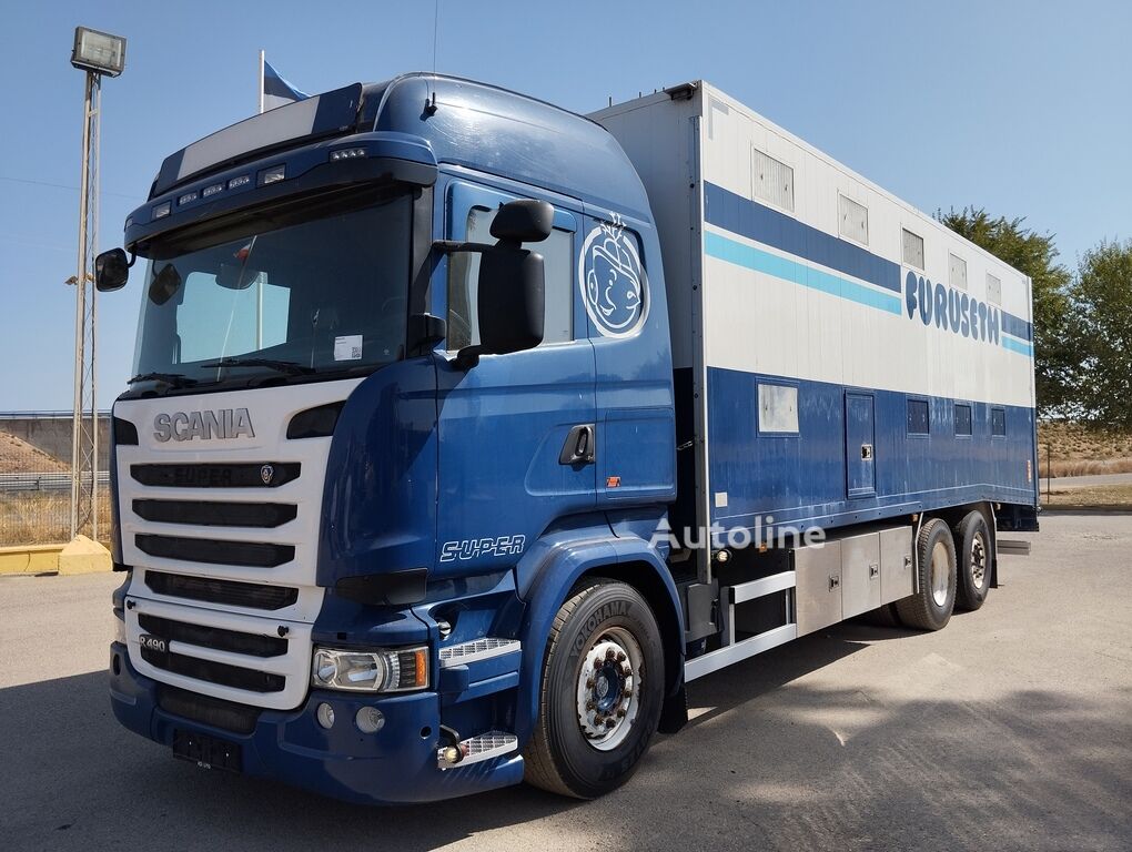 Scania R 490 camión para transporte de ganado