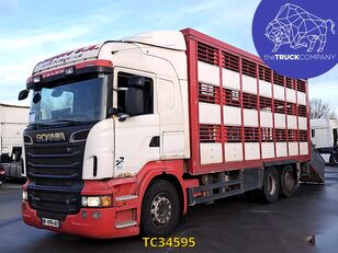 Scania R 500 livestock truck