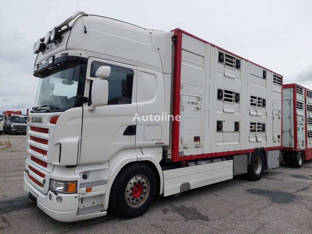 скотовоз Scania R500 LB 4X2 MNB 4x2