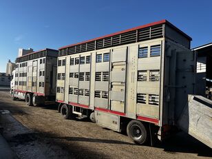 ciężarówka do przewozu bydła Scania R500 V8 + przyczepa do przewozu zwierząt
