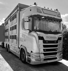 Scania S 650  livestock truck