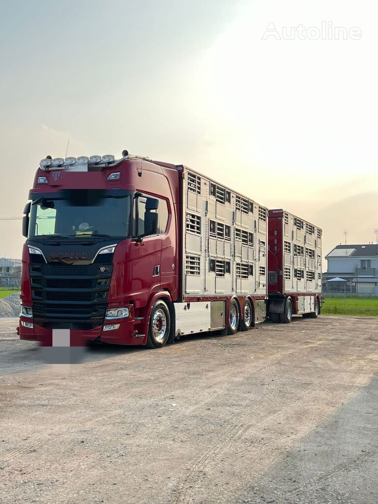 camion bétaillère Scania S580 + remorque bétaillère