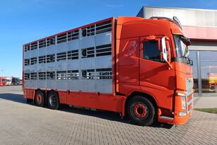 Volvo FH 460 kamion za prijevoz stoke