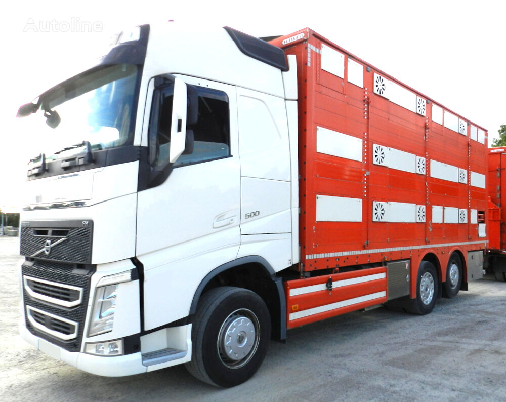 Volvo FH-500 2/3 levels kamion za prevoz stoke