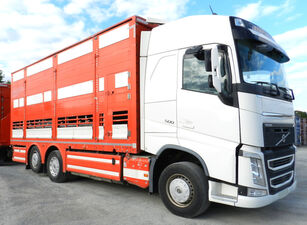 Volvo FH-500 2/3 levels kamion za prijevoz stoke