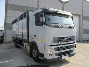 camion transport animale Volvo FH12