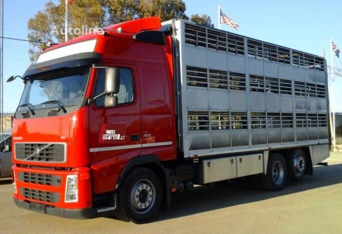 Volvo FH13 400 camión para transporte de ganado