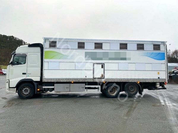 Volvo FH500 *6x2 *2 FLOORS *SCALE *BOX LENGHT 8.70m livestock truck