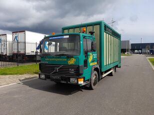 Volvo FL6 11 livestock truck