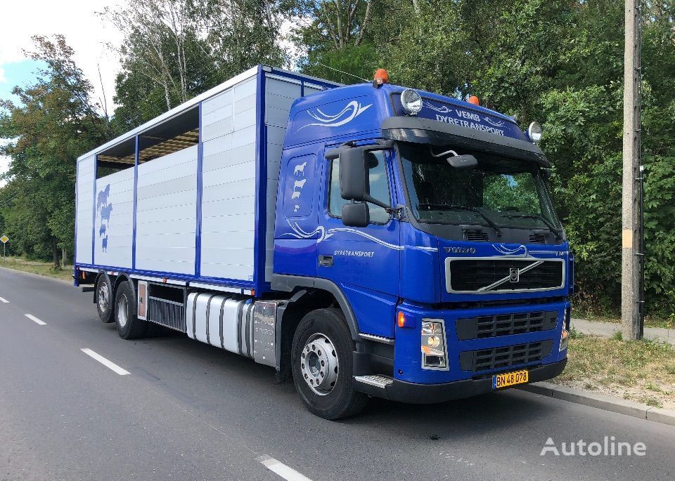 camion transport animale Volvo FM 440 DO BYDLA -ZYWCA