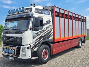 Volvo FM 9 camión para transporte de ganado
