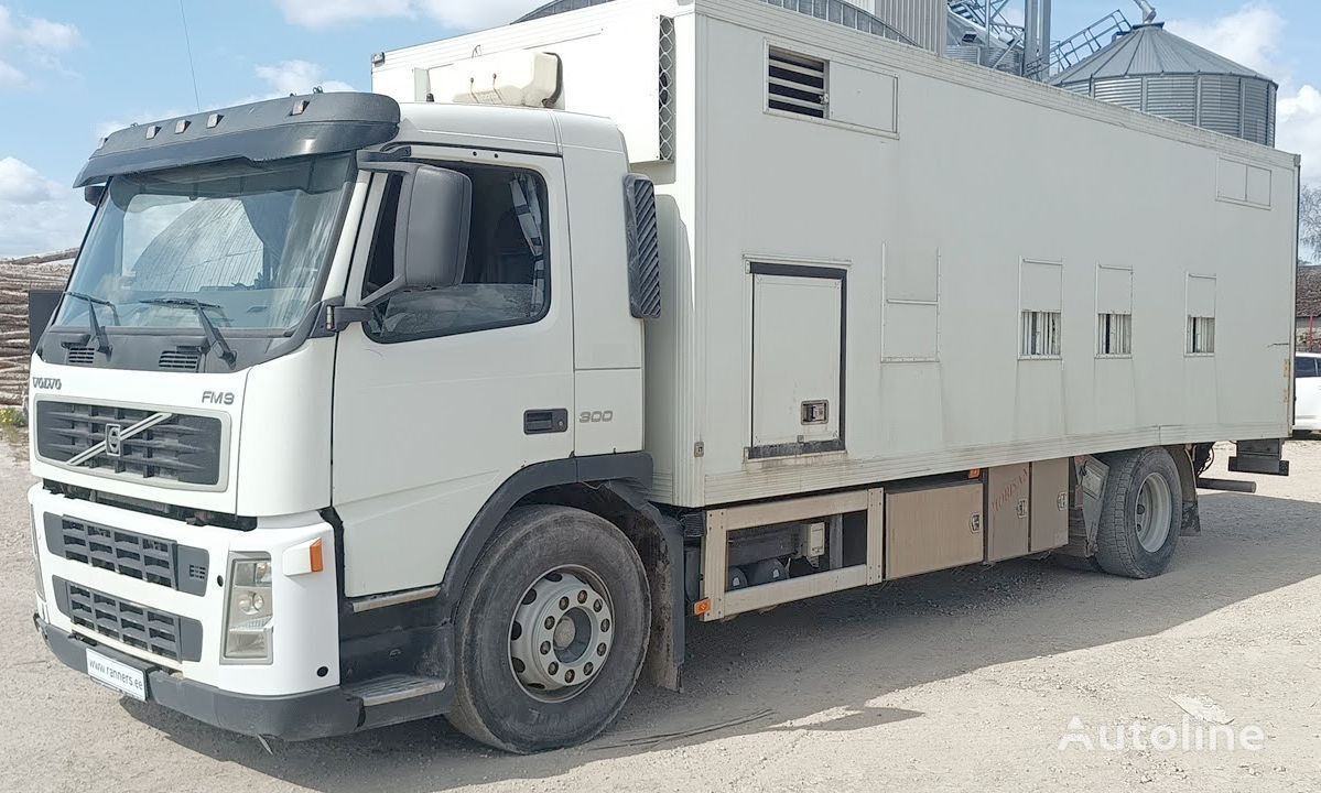 牲畜运输车 Volvo FM9 300 livestock truck