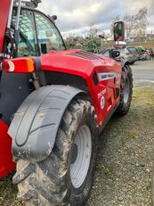 伸缩臂叉装机 Massey Ferguson TH 70.38