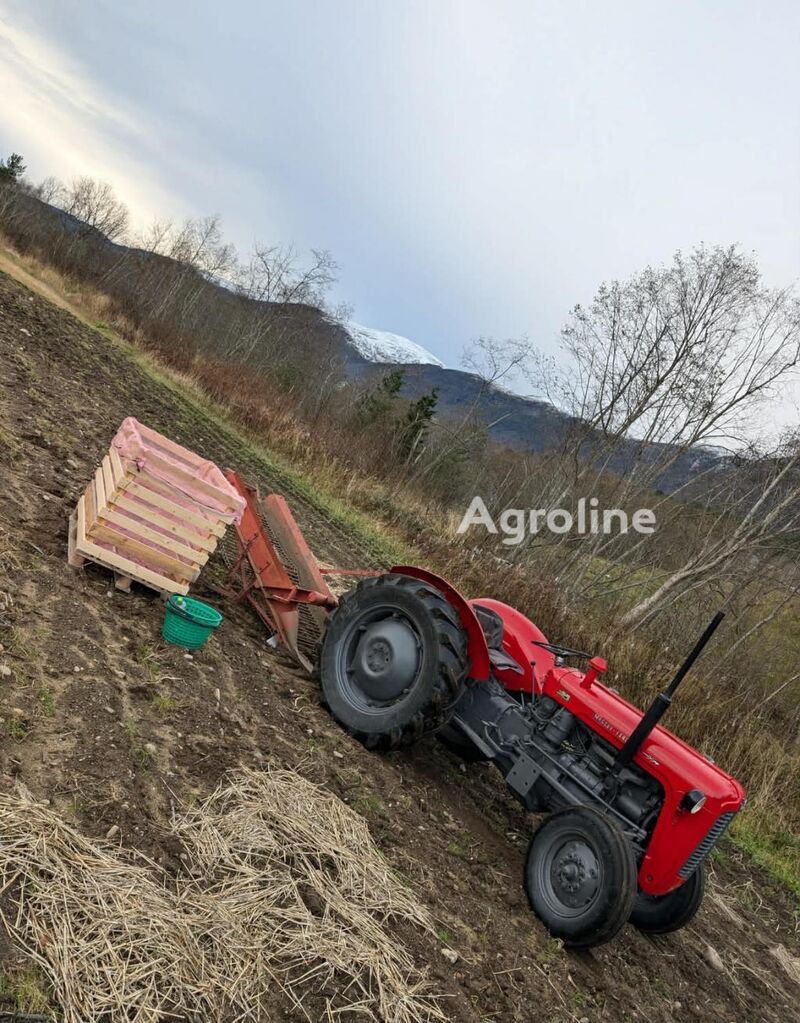 Мини трактор Massey Ferguson 35 - Agroline