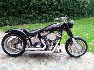 motocyclette Harley-Davidson Harley Davidson FLSTN