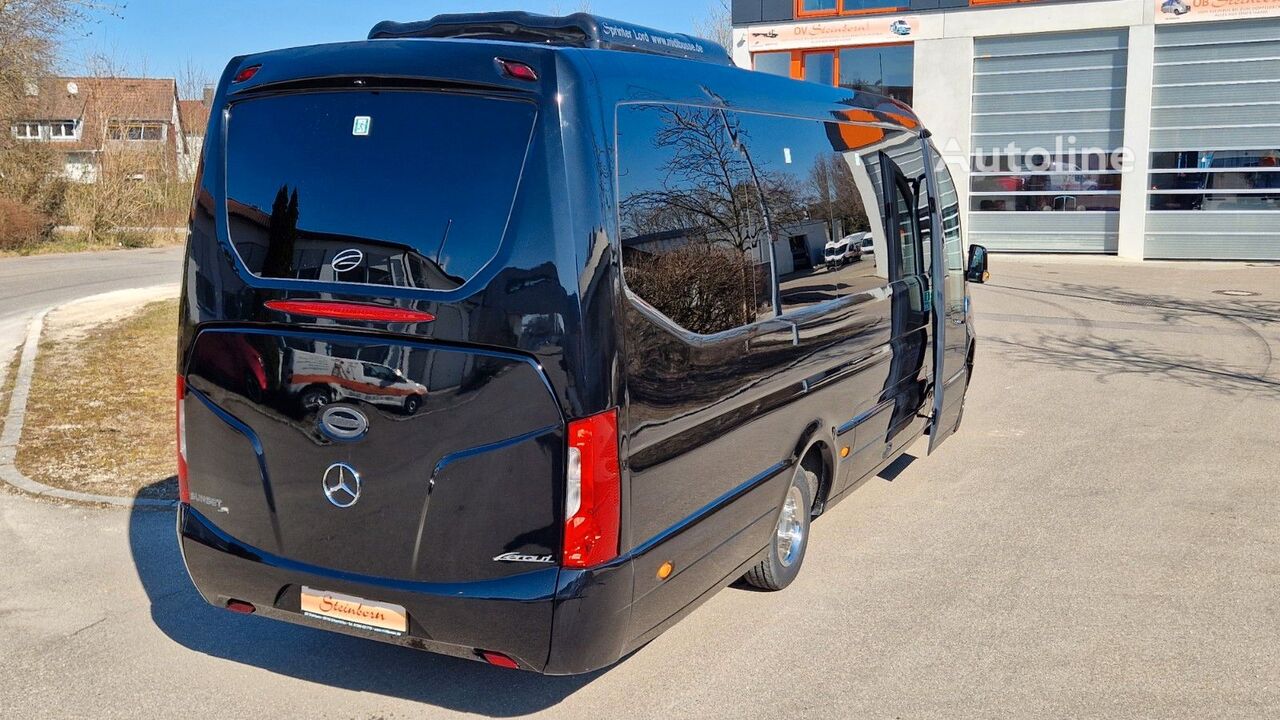 New Mercedes-Benz 519 Sunset S 4 passenger van - Autoline