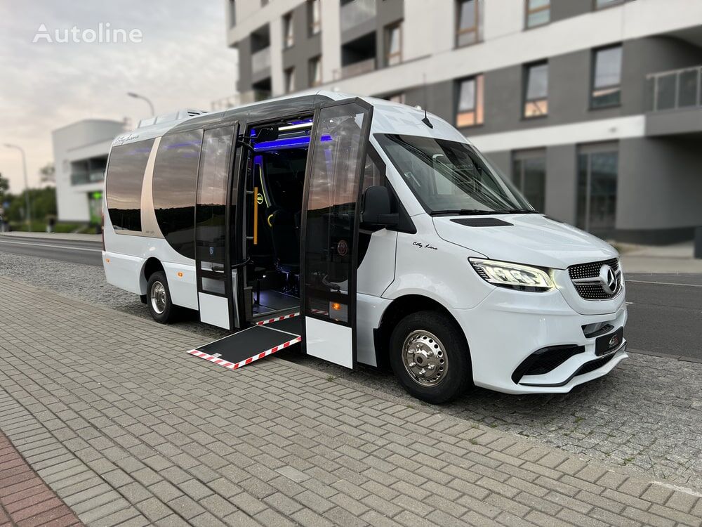 new Mercedes-Benz Cuby Sprinter 519 cdi No.500 passenger van