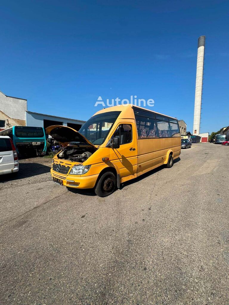 Fourgonnette de tourisme Mercedes-Benz Sprinter - Autoline