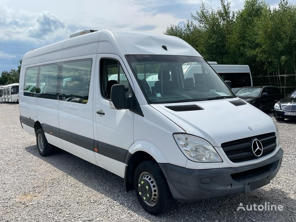 Mercedes-Benz Sprinter 513 passenger van