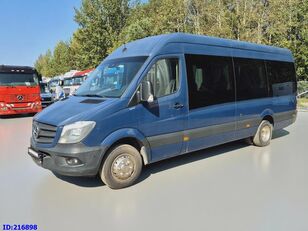 الميكروباصات لنقل الركاب Mercedes-Benz Sprinter 516 VIP Tamlans