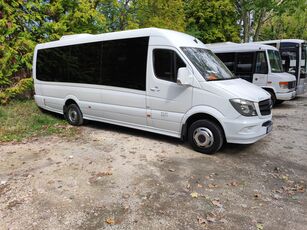 Mercedes-Benz Sprinter 519 kisbusz