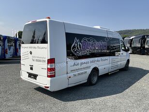 Mercedes-Benz Sprinter 519 passenger van