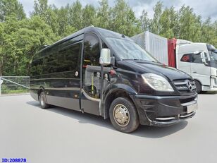 keleivinis mikroautobusas Mercedes-Benz Sprinter 519 -VIP