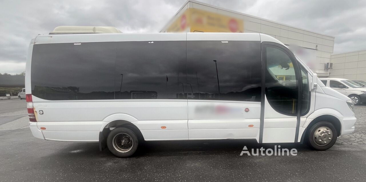 الميكروباصات لنقل الركاب Mercedes-Benz Sprinter 519cdi *XL *16+1 *Tourist *Ramp *Wheelchair - Autoline
