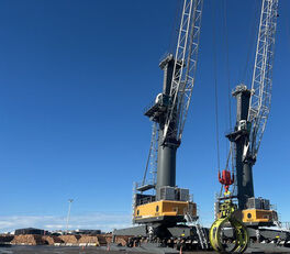 Liebherr 149 LHM 550 satamanosturi