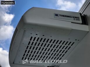 IVECO Daily 35S18 3.0L Koelwagen Thermoking C-250 LED ACC Navi Airco K refrigerated truck < 3.5t for sale - Image 11 | Autoline MY New IVECO Daily 35S18 3.0L Koelwagen Thermoking C-250 LED ACC Navi Airco K refrigerated truck < 3.5t | Image 11 - Autoline