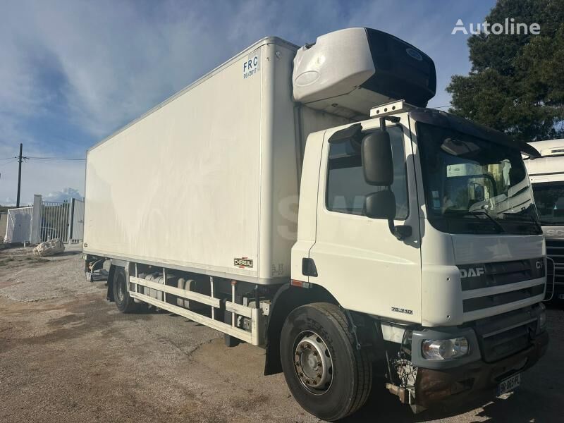 DAF CF 75.310 refrigerated truck