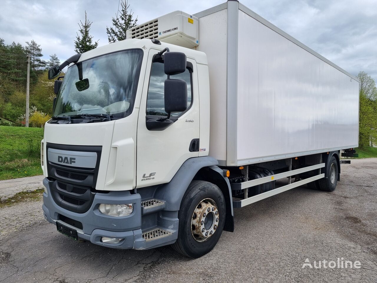 camion frigorific DAF LF 250 FA THERMOKING + DHOLLANDIA